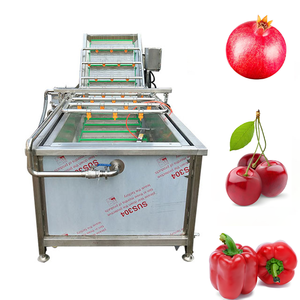 Giá Thuận Lợi Trái Cây Và Rau Máy Giặt Cho Nhà Sử Dụng Ozone Rau Máy Giặt Máy Giặt Rau Máy - Product Image 1