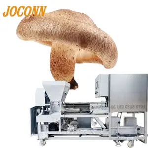 Fabricant fournisseur champignon substrat remplissage lieuse shiitake champignon compost sac machine de remplissage