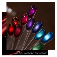 Nouvelle collection de vernis gel œil de chat Muse 10 couleurs Beau Color Factory, sans TPO/HEMA, personnalisable OEM, vernis à ongles professionnel