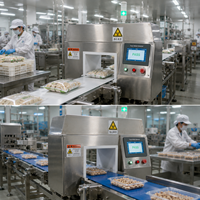 Détecteur de métaux pour convoyeur à bande pour produits carnés surgelés, machine d'inspection intelligente à haute sensibilité