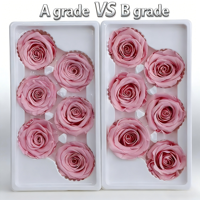 Hochwertige Handgefertigte Konservierte Rosen 2-3cm B-Klasse Blütenköpfe für Hochzeiten Valentinstag Weihnachten Blumenarrangements Tischdekoration