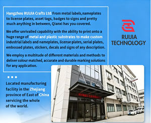 Plaque d'immatriculation de voiture en acrylique vierge de conception personnalisée, plaque d'immatriculation de voiture décorative et élégante avec des chiffres en acrylique 3D/4D - Product Image 5