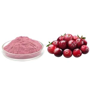 Grosir 100% konsentrat alami minuman instan bubuk jus buah bubuk Cranberry - Product Image 3