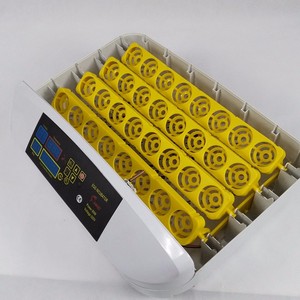 Incubadora Automática Hhd con Volteo de Huevos 42A, Huevos para Incubar en Venta en Jordania - Product Image 3