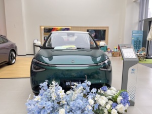 Dongfeng Nano 01 330KM E1 Voiture Électrique Économique - Autonomie de 330 km, Recharge Rapide, 5 Places, 50-100KW, Véhicule Électrique à Énergie Nouvelle Fabriqué en Chine - Product Image 3