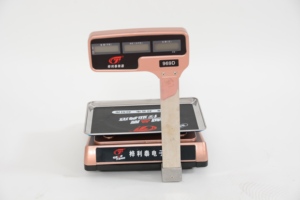 Quy Mô 15 Kg Quy Mô 15 Kg Với 1G Độ Chính Xác - Product Image 4