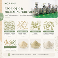 Poudre Probiotique Lyophilisée de Qualité Alimentaire Pediococcus Pentosaceus 200b, 200 Milliards UFC/g, Approvisionnement en Vrac, Usine OEM ODM