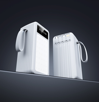 Anpassbares LOGO PD22.5W Schnellladung 60000mAh Li-Polymer 2-in-1 Powerbank LED-Lampe Micro USB/Type-C Universal für Outdoor