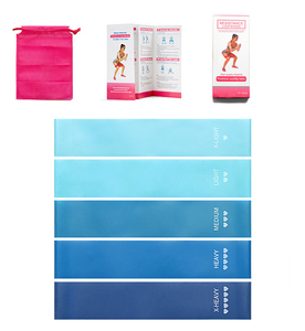 Bán Buôn Lifeng In Ấn TPE <span class=keywords><strong>Resistance</strong></span> Bands Với Lụa Biểu Tượng Màn Hình Màu Xanh Hồng Đàn Hồi Vòng Lặp Cho Tập Thể Dục Và Phục Hồi Chức Năng - Product Image 2