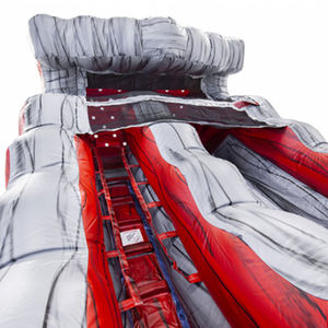 Divertiti a scendere in uno scivolo fantastico, lo scivolo d'acqua è qualcosa che non puoi perdere uno scivolo spettacolare con piscina ad acqua fredda - Product Image 2