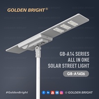 Lampu Jalan LED Tenaga Surya All in One Otomatis 100w Tahan Air IP66 Golden Bright Terbaik