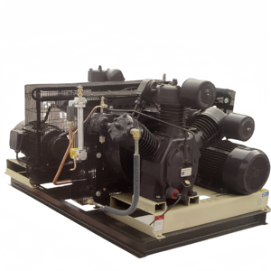 Compresseur d'air industriel portable sans huile 30 bars - Product Image 1