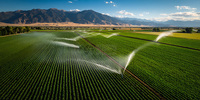 Pistolet d'arrosage agricole à haute pression, brumisateur, raccord de tuyau 3/4, système d'irrigation