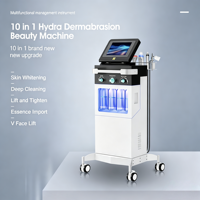 Appareil de beauté facial 10 en 1 Hydra Skin Care Microdermabrasion Aqua Peel pour le nettoyage, la réduction des rides et l'éclaircissement de la peau