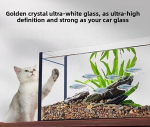 Acquario JSD Jinjing Ultra Clear Glass Stream Style con Filtro Laterale Integrato e Pompa Silenziosa, Sistema a Lungo Termine Senza Cambio d'Acqua - Product Image 6