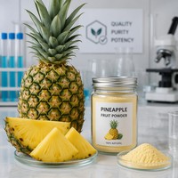 Natuurlijk Wild Blueberry Fruitpoeder met Vitamine C & Bromelaïne, Pure Food Grade, 1kg in plastic verpakking FVP-14