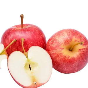 Neue Ernte frische Apfel frische Äpfel von Fuji Apple Gardens für den Export mit niedrigem Preis