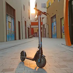 D'UE USA entrepôt moteur scooter 250w 65 e scooter 60 km gamme scooter 2021 electricas