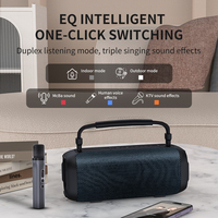 Enceinte karaoké portable T12 BT5.3, son puissant 80W avec basses profondes, autonomie 24h, lumières RGB, pour les voyages, l'extérieur, le camping, la plage