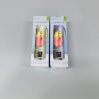 Multifunctionele USB oplaadbare draagbare blender sapcentrifuge roestvrij staal 304 messen ijsvergruizer zelfreinigend auto buitengebruik