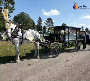Corbillard à cheval électrique de style européen Remorque <span class=keywords><strong>Van</strong></span> Chariot blanc traditionnel Corbillard funéraire de luxe unique <span class=keywords><strong>Transport</strong></span> spécial - Product Image 4