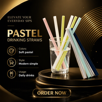 Pailles en silicone pliables et écologiques en gros avec étui et accessoires de nettoyage pour bar