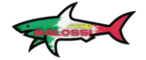 Pegatina de Transferencia en Frío Estereoscópica 3D Paul Shark, Alta Calidad, UVDTF, Resistente al Agua y al Desgaste, Lista para Enviar - Product Image 2