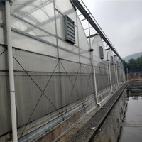 Serres vertes en plastique à plusieurs travées d'excellente résistance avec conteneur d'agriculture hydroponique