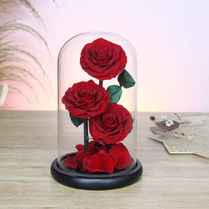 TC ฝาครอบแก้วดอกกุหลาบดอกไม้นิรันดร์ของขวัญวันวาเลนไทน์สำหรับผู้หญิงที่เก็บรักษาดอกไม้สำเร็จ - Product Image 4