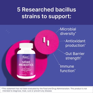 โปรไบโอติกเสริมอาหาร ช่วยบำรุงสุขภาพลำไส้อย่างมีประสิทธิภาพ ปรับสภาพลำไส้ 60 แคปซูล โปรไบโอติกแบบแคปซูล - Product Image 2