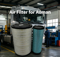 Nouvel élément filtrant à air à plaque plate SRY Auman pour Foton, capacité de retenue de saleté améliorée, durée de vie prolongée