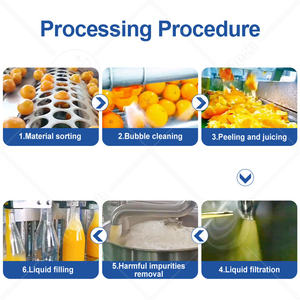 Machine de fabrication de jus de pomme et d'agrumes ORME, ligne de production de jus de myrtille - Product Image 2