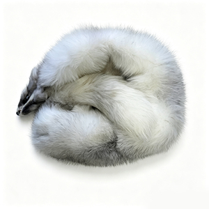 Pelli di <span class=keywords><strong>Volpe</strong></span> <span class=keywords><strong>Argentata</strong></span> di Alta Qualità, Pellicce Autentiche per la Creazione di Abbigliamento - Product Image 5