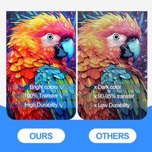 Film pour animaux de compagnie de haute qualité en gros, 0-80 A3, adhésif secouant TPU, 80-200 µm, poudre de transfert thermique à chaud pour t-shirt - Product Image 3