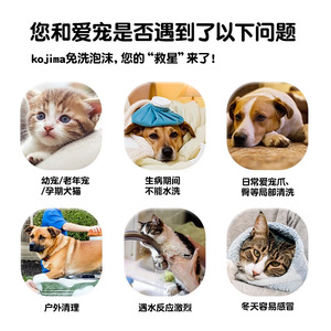 Champú Seco para Mascotas Kojima 190 ml, Limpiador en Espuma sin Agua para Gatos - Product Image 4