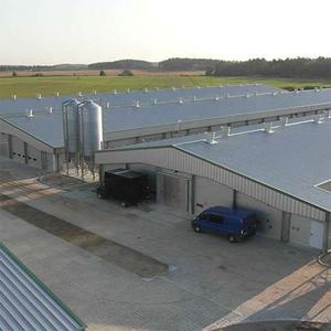 Find chicken farm building Wholesale For Your Building Project