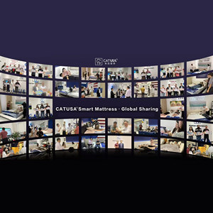 Catusa nhiệt độ thông minh kiểm soát mèo thương hiệu vải Nệm sưởi ấm/Làm mát đôi sườn núi phòng ngủ đồ nội thất nhà - Product Image 6