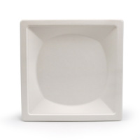 Assiette personnalisée carrée, rectangulaire ou ronde en bagasse 100 % pulpe de canne à sucre, écologique, biodégradable et compostable