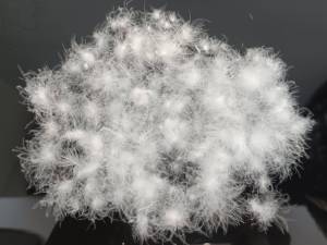 Relleno <span class=keywords><strong>de</strong></span> plumas <span class=keywords><strong>de</strong></span> pato blanco <span class=keywords><strong>de</strong></span> alta calidad, plumón blanco lavado para chaqueta Nórdica - Product Image 2