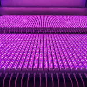 Tube LED Dimmable à 5 Canaux 36W 4FT T8 avec Contrôle par APP pour l'Agriculture Verticale et la Production de Fraises - Product Image 4