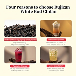 Té Oolong <span class=keywords><strong>Qi</strong></span> Dan Da Hong <span class=keywords><strong>Pao</strong></span>, 300g/bolsa, Té Oolong Qidan Dahongpao de Fujian, Té de Burbujas con Leche Fresca - Product Image 4
