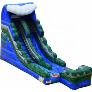 Rental Adult Tropical Theme Beach Party Double Lane <b>Inflatable</b> Water Slide With PVC Material and 3-Year Warranty for Backyard Do - Product Image 4