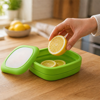 Anti-oxidatie, milieuvriendelijke PP fruit- en groente bewaardoos met klikdeksel voor keuken en feestjes