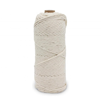 Cordon en corde simple, fil de coton blanc pour macramé, pour la fabrication de suspensions murales, de paniers tressés, de crochet et de tapisseries