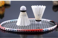 Offre Spéciale : Volant de badminton RSL DTL-85 original de haute qualité, durable, à 2 couches, écologique, à plumes droites, pour clubs professionnels