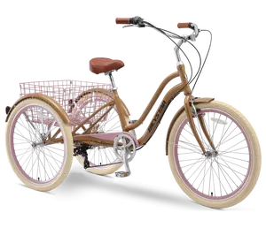 Venda quente da fábrica 3 roda triciclo para adultos fonte triciclo 20/24 polegadas adulto triciclo cruzeiro 3 roda para carga