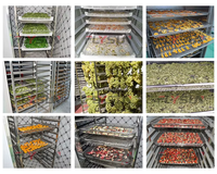 Drooglijn voor fruit- en groenteproducten, dehydratatie- en droogapparatuur voor gedroogd fruit en groenteschijfjes