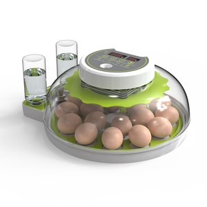 <span class=keywords><strong>Incubateur</strong></span> automatique à 18 œufs pour poulet à couver oie pigeon caille canard - Product Image 6