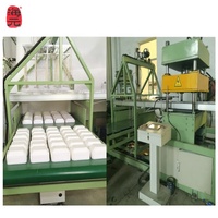 Machine de plateau de Fruits en mousse PS la plus populaire en Afrique du Sud Machine de fabrication de boîtes à lunch jetables