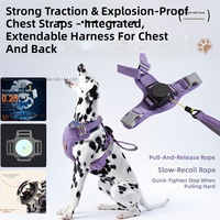 Nouveau 2026 Ensemble Harnais et Laisse Rétractable 2-en-1 pour Chien, Harnais Gilet Anti-Traction Facile à Enfiler, Robuste, Réfléchissant, Fermeture à Boucle Tendance